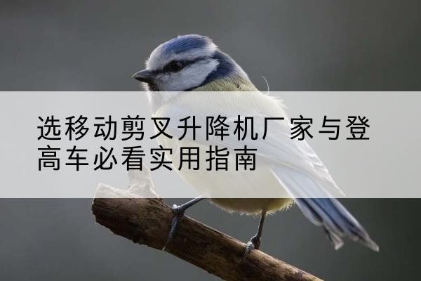 公主岭电动升降机厂家-选移动剪叉升降机厂家与登高车必看实用指南