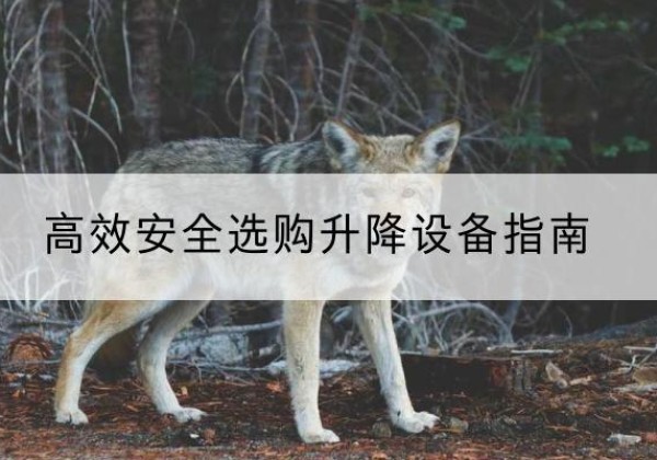 公主岭升降货梯厂家推荐-*安全选购升降设备指南