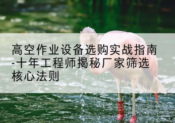 公主岭剪叉式升降机厂家-高空作业设备选购实战指南-十年工程师揭秘厂家筛选核心法则